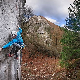 Gekón: 📸 Roman Ripka